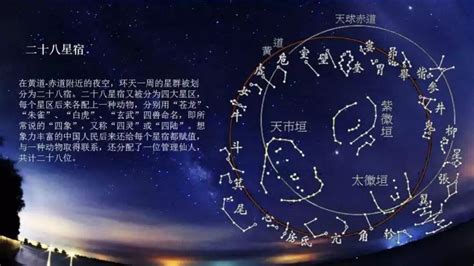 朱雀 星|二十八星宿（中国古代天文学名词）